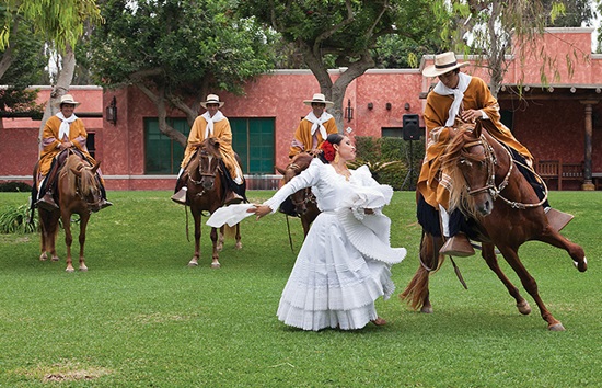 Lima Peruvian Paso Horse Show & Lunch - Full Day - Small Group Tour